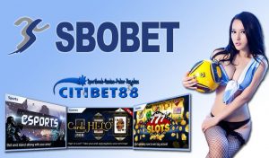 Taruhan Bola
